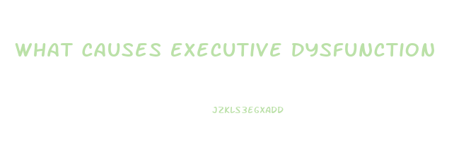 What Causes Executive Dysfunction