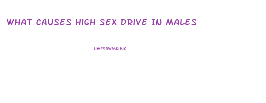 What Causes High Sex Drive In Males