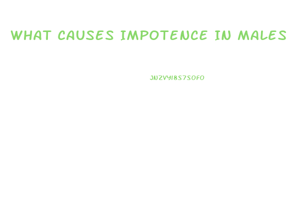 What Causes Impotence In Males