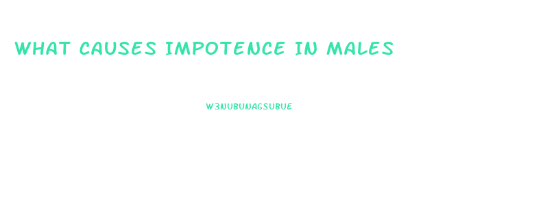 What Causes Impotence In Males