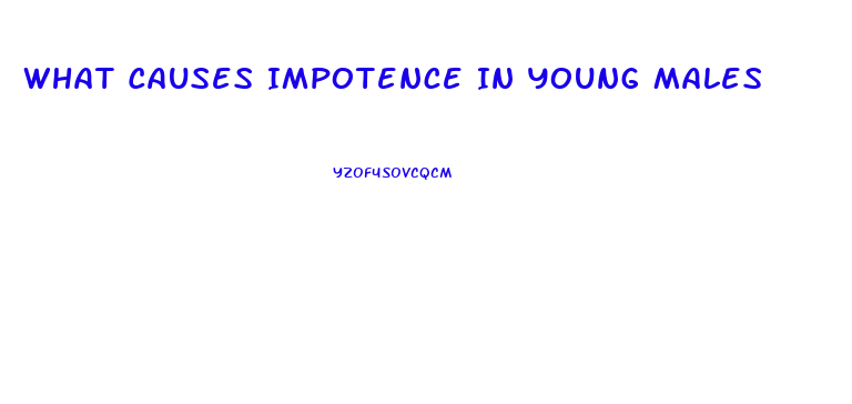 What Causes Impotence In Young Males