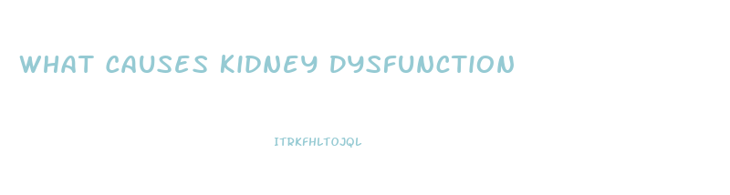What Causes Kidney Dysfunction