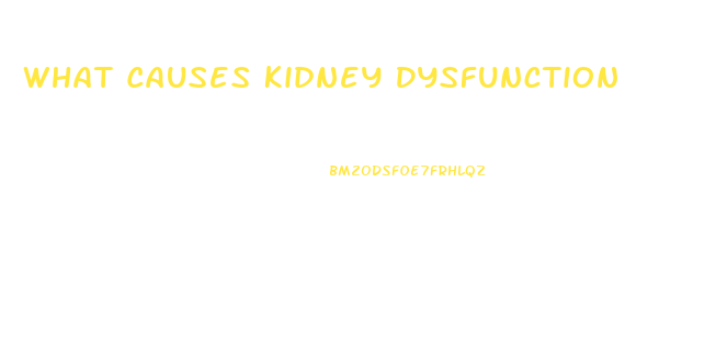 What Causes Kidney Dysfunction