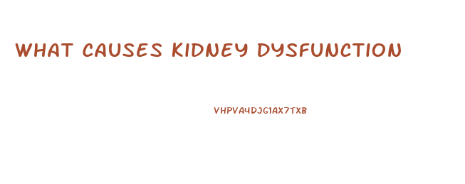 What Causes Kidney Dysfunction