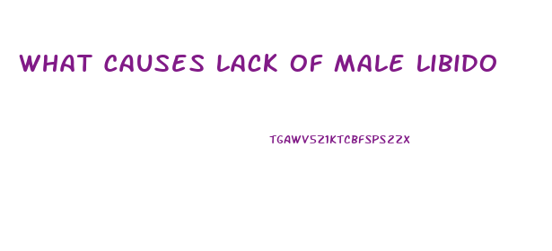 What Causes Lack Of Male Libido