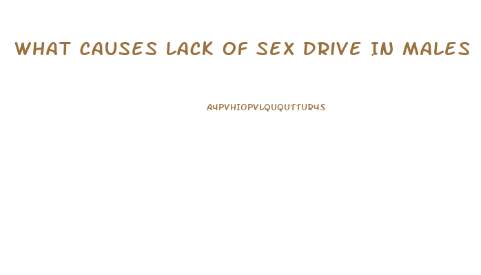 What Causes Lack Of Sex Drive In Males