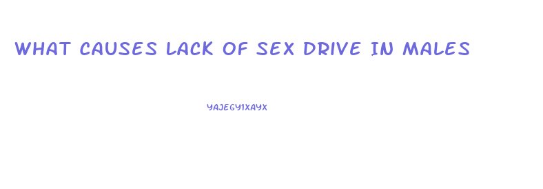 What Causes Lack Of Sex Drive In Males
