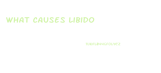 What Causes Libido
