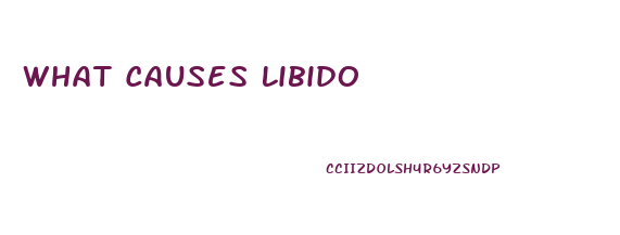 What Causes Libido