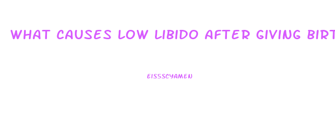 What Causes Low Libido After Giving Birth