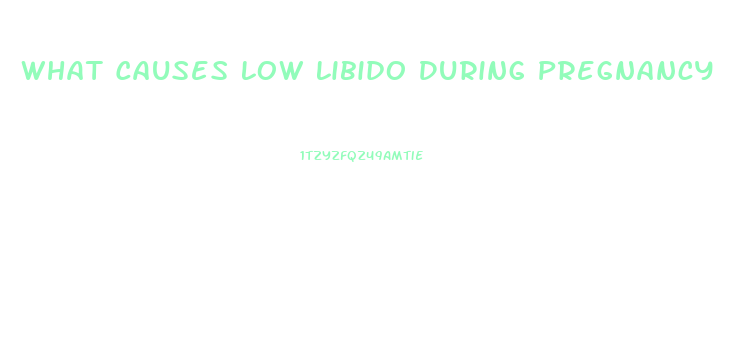 What Causes Low Libido During Pregnancy