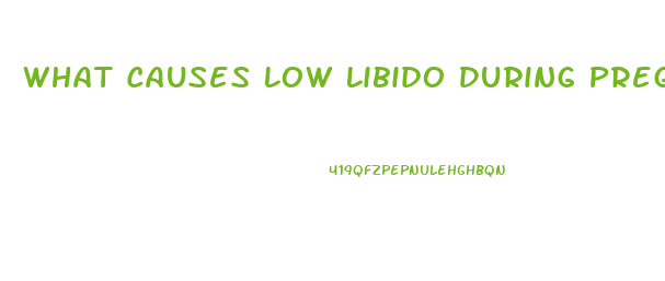 What Causes Low Libido During Pregnancy