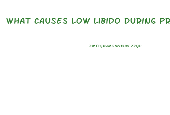 What Causes Low Libido During Pregnancy