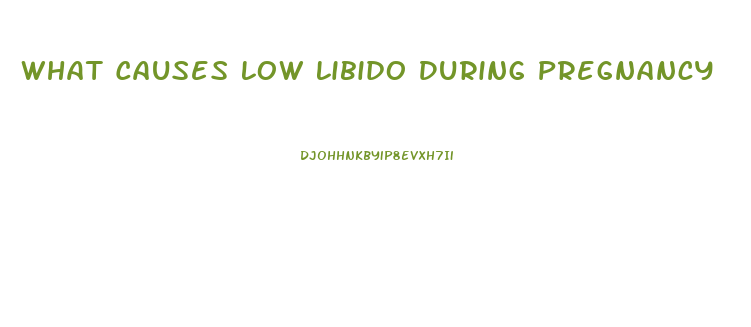 What Causes Low Libido During Pregnancy