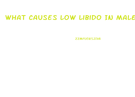 What Causes Low Libido In Males
