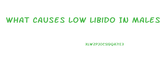 What Causes Low Libido In Males