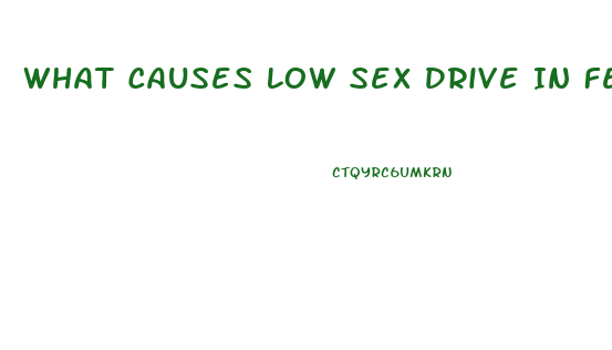 What Causes Low Sex Drive In Females