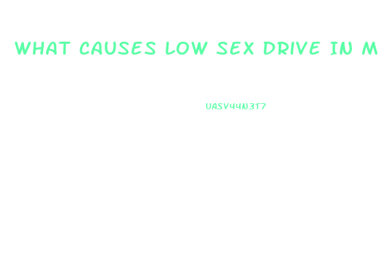 What Causes Low Sex Drive In Men