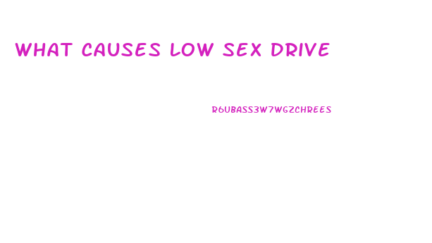 What Causes Low Sex Drive