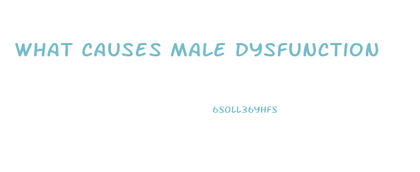 What Causes Male Dysfunction