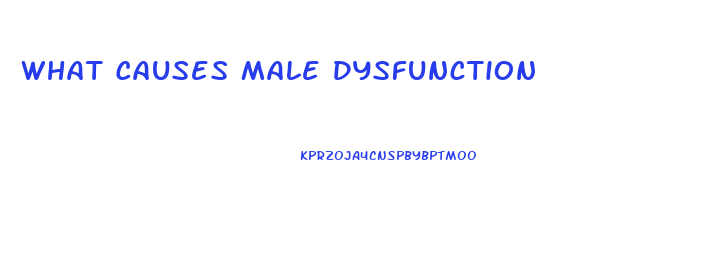 What Causes Male Dysfunction