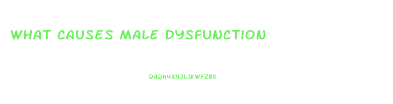 What Causes Male Dysfunction