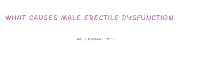 What Causes Male Erectile Dysfunction