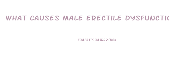 What Causes Male Erectile Dysfunction