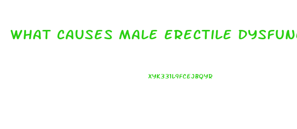 What Causes Male Erectile Dysfunction