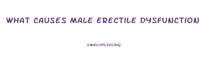 What Causes Male Erectile Dysfunction