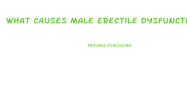What Causes Male Erectile Dysfunction