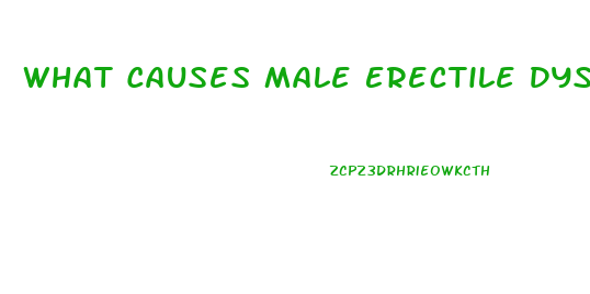 What Causes Male Erectile Dysfunction
