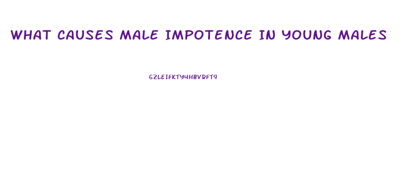 What Causes Male Impotence In Young Males