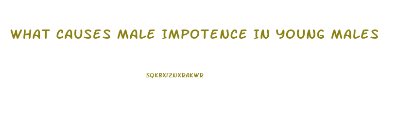 What Causes Male Impotence In Young Males