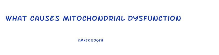 What Causes Mitochondrial Dysfunction