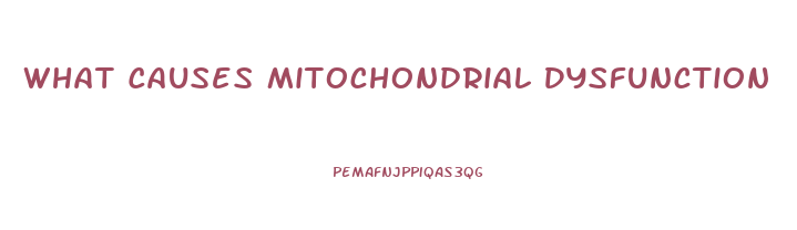 What Causes Mitochondrial Dysfunction