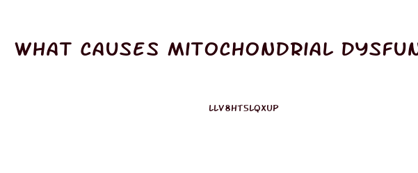 What Causes Mitochondrial Dysfunction