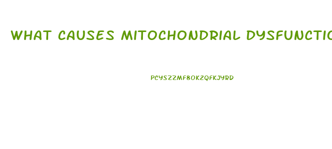 What Causes Mitochondrial Dysfunction