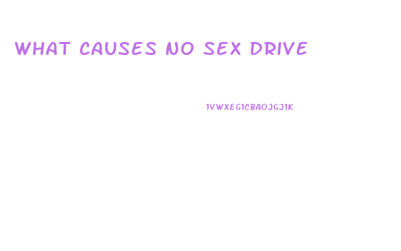 What Causes No Sex Drive