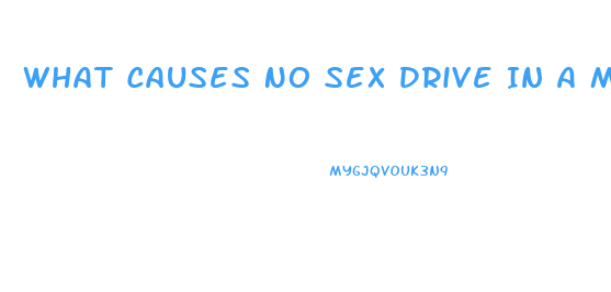 What Causes No Sex Drive In A Man