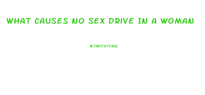 What Causes No Sex Drive In A Woman