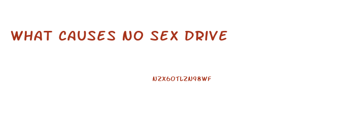 What Causes No Sex Drive