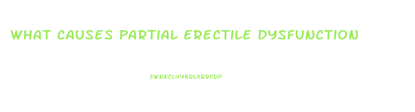 What Causes Partial Erectile Dysfunction