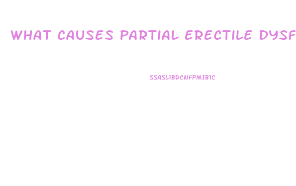 What Causes Partial Erectile Dysfunction