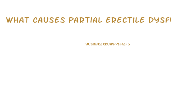 What Causes Partial Erectile Dysfunction