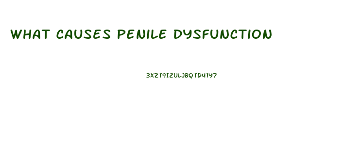 What Causes Penile Dysfunction