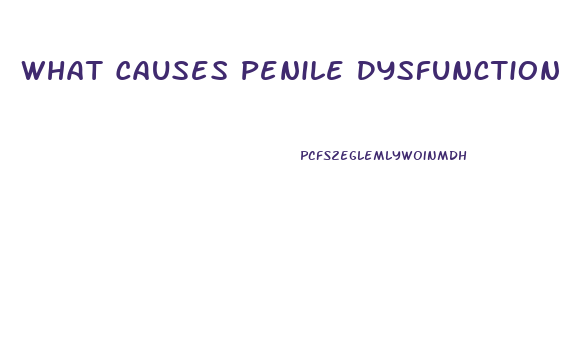 What Causes Penile Dysfunction