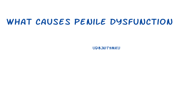 What Causes Penile Dysfunction