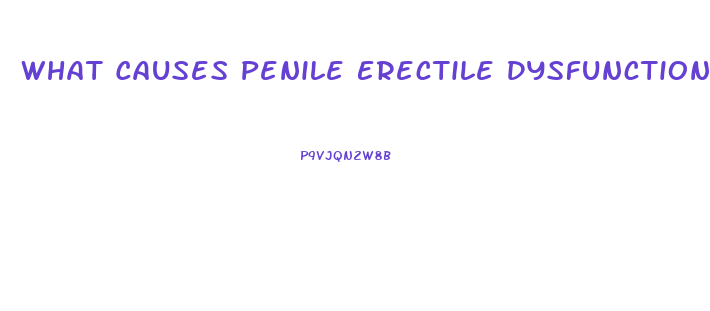 What Causes Penile Erectile Dysfunction