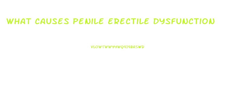 What Causes Penile Erectile Dysfunction